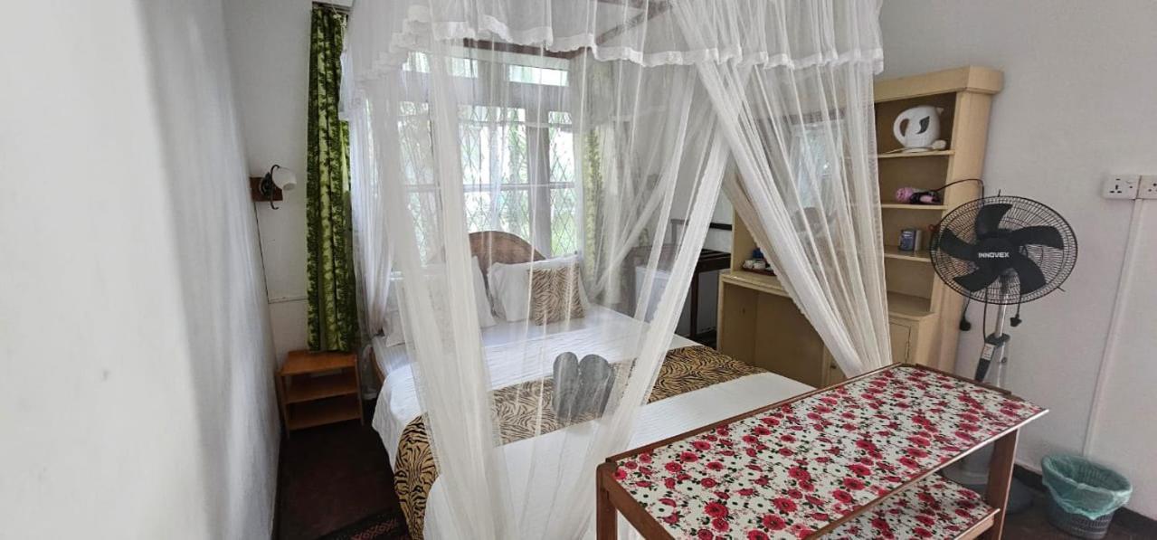 אלה Hilltop Guest House מראה חיצוני תמונה
